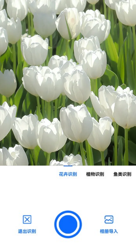 全能拍照识图_图片2