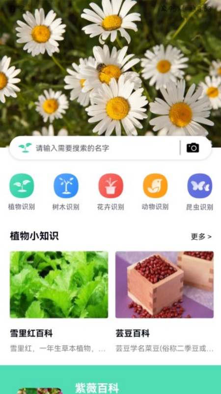 全能拍照识图_图片1