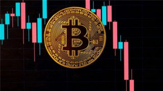 买比特币的平台|虚拟币交易平台软件排行拟币交易平台